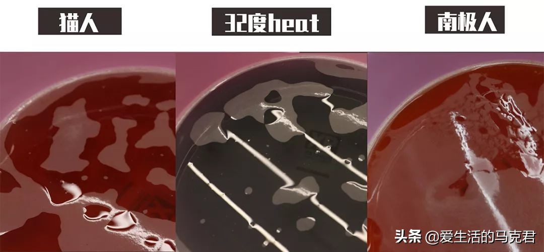 优衣库旗舰店男式保暖内衣,优衣库哪款保暖内衣最值得买