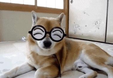 空中一字马搞笑图,一个突如其来的一字马