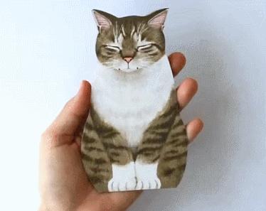 日本人又来骗猫奴们的钱啦!但我心甘情愿掏钱了!