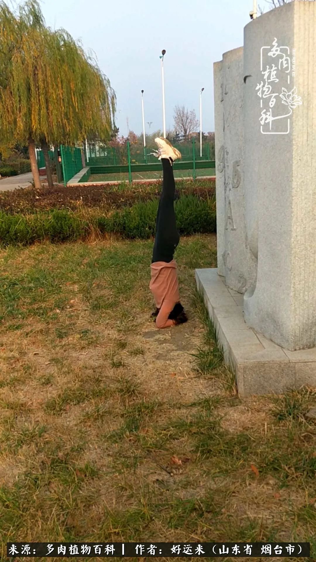 这世上怎么会有那么可爱的小可爱,这世上怎么有这么可爱的小生物