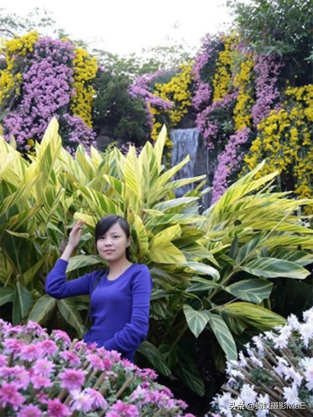 摄影构图有三角式构图吗,为什么摄影越拍要学的越多