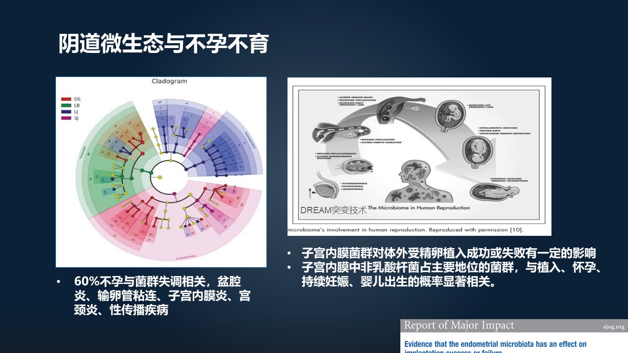 肖冰冰,肖冰冰的创作