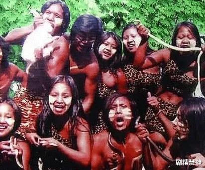 世界上最危险的两种树,世界上最危险的三个森林第三名