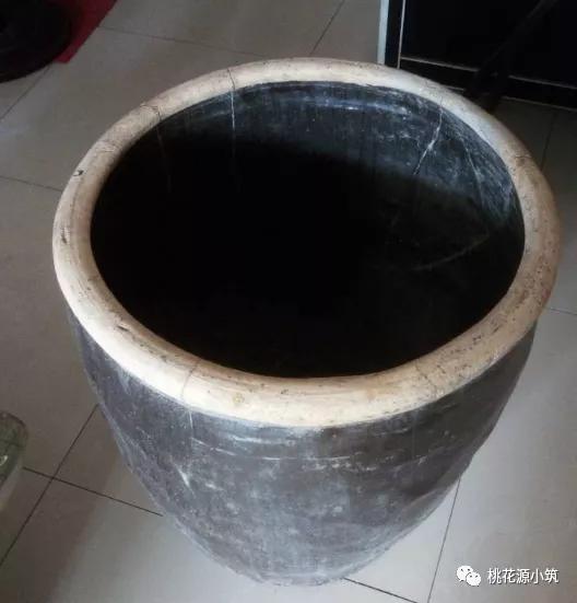 生活养花小妙招,昙花叶片变厚的秘诀