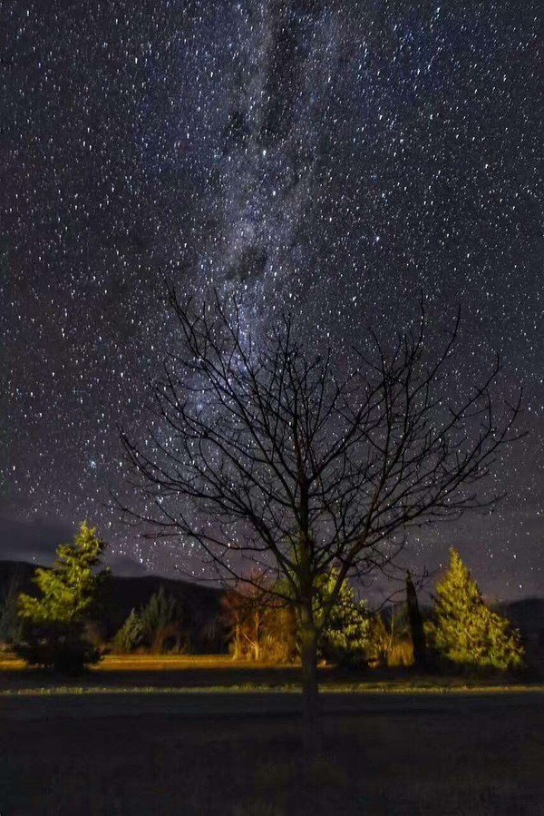 新西兰自由行攻略最全,当你想出去旅游时