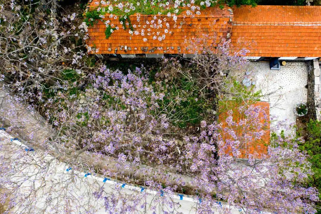 惊艳青岛的这些世外桃源快来打卡,青岛西海岸玩的地方推荐