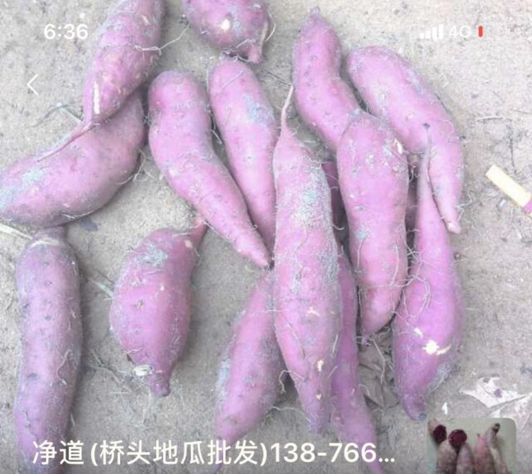 CBD里的Chloe、AmandaandKatharine,都在㳽到脑壳买农副产品