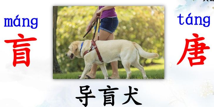 统编版三年级上册语文新课程答案,人教版三年级上册语文课后练习题