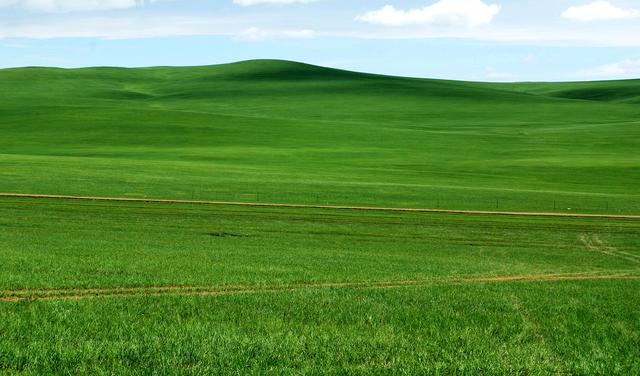 一辆车，从东乌旗沿中蒙边境公路到阿尔山，漫长边关寻迹历史遗存