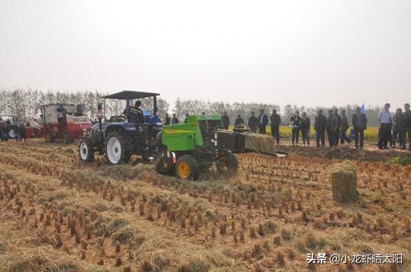 秸秆腐烂污染水怎么解决,稻虾田秸秆怎么处理最合适