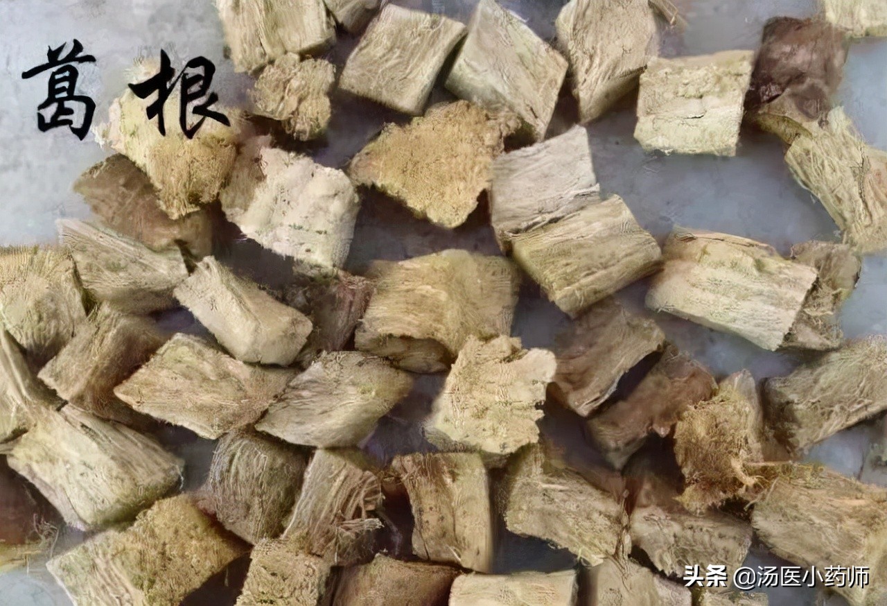 葛根对肝的作用与功效解酒,葛根功效与作用解酒