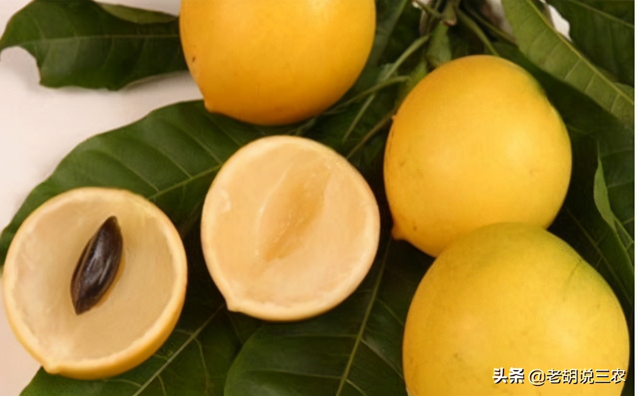 亩收入一万元的农作物,亩收益超2000块钱的种子