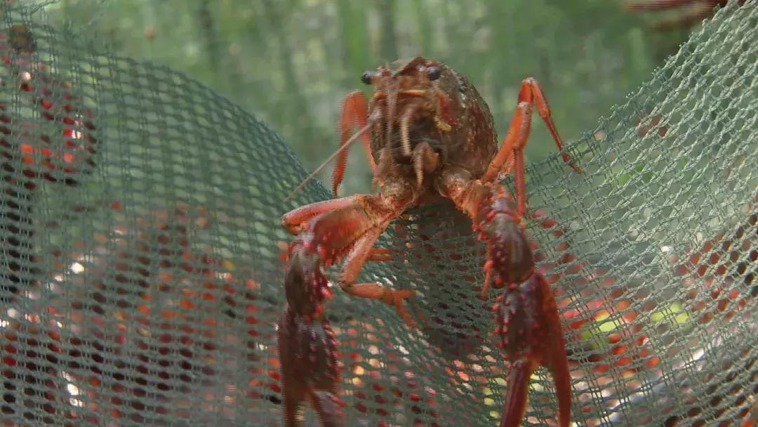 自己跑市场做点生意,隐秘的商机