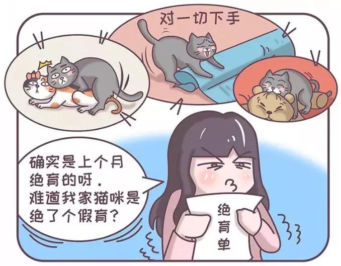 明明绝育了猫咪为什么还叫,明明是已经绝育的公猫