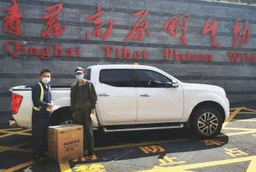 长沙阳光安置小区流浪猫,长沙有流浪猫的小区