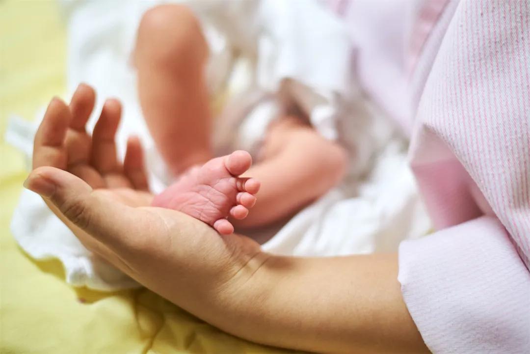 托育机构婴幼儿患病管理制度,宝宝托育照护试点