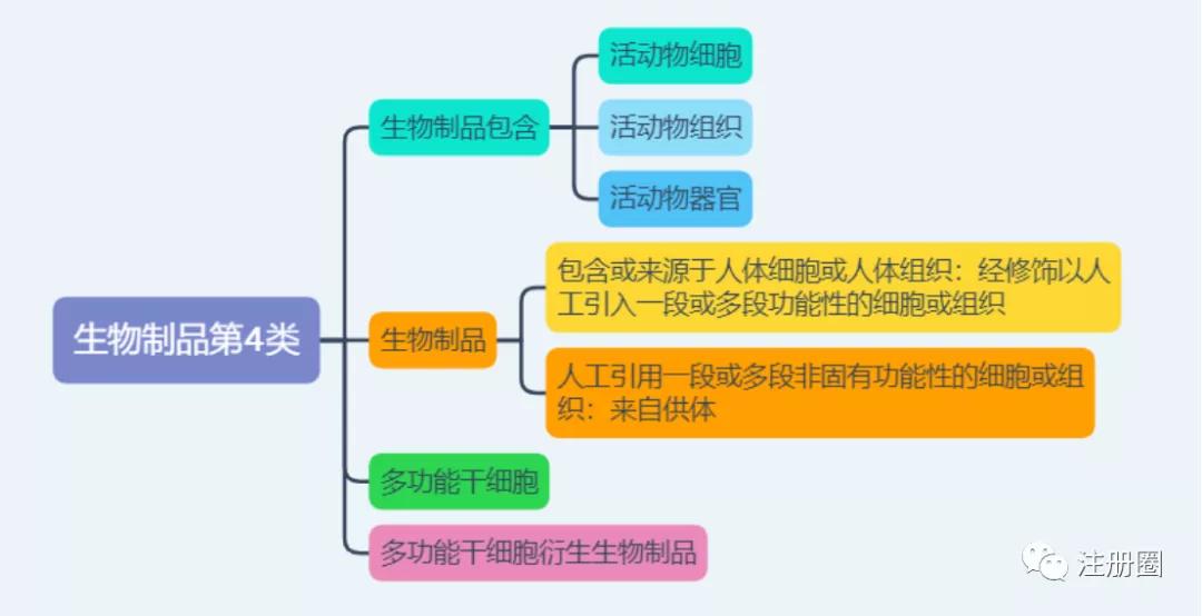 在澳大利亚注册公司的条件,澳大利亚注册苹果账号