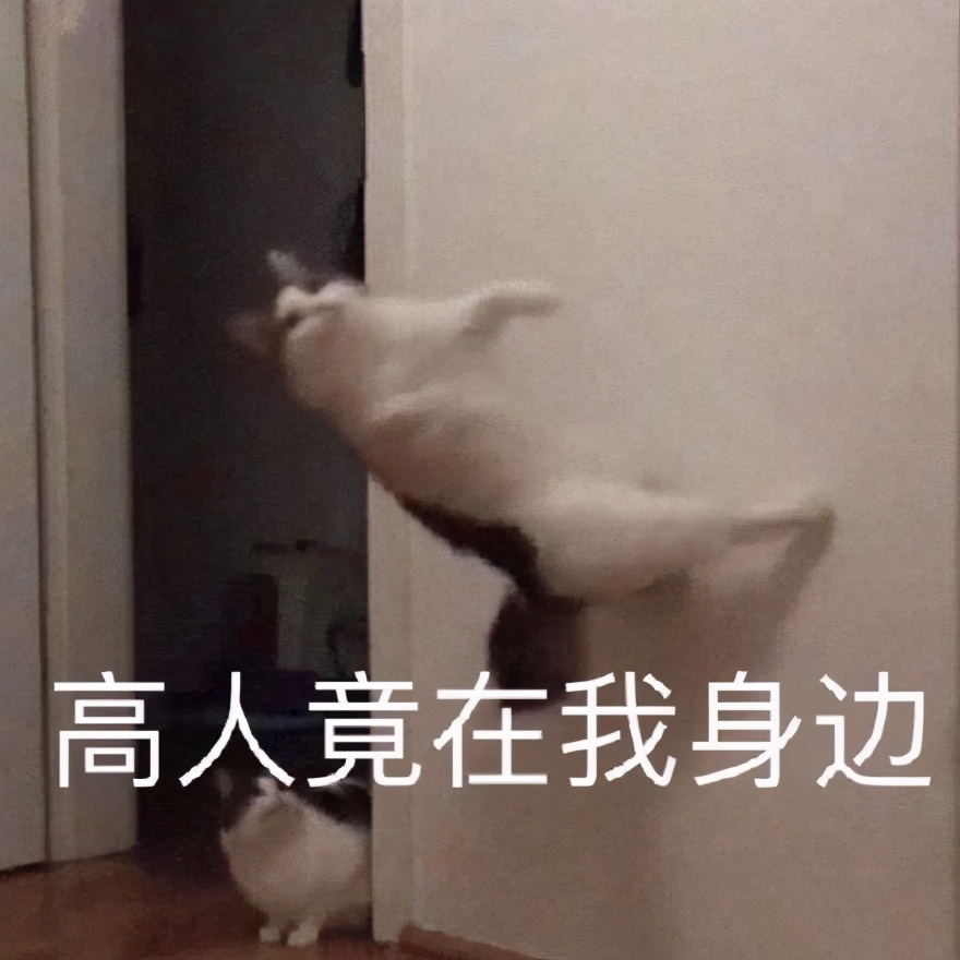 淘宝搞笑提问与回答神回复,淘宝问答神回复在哪里