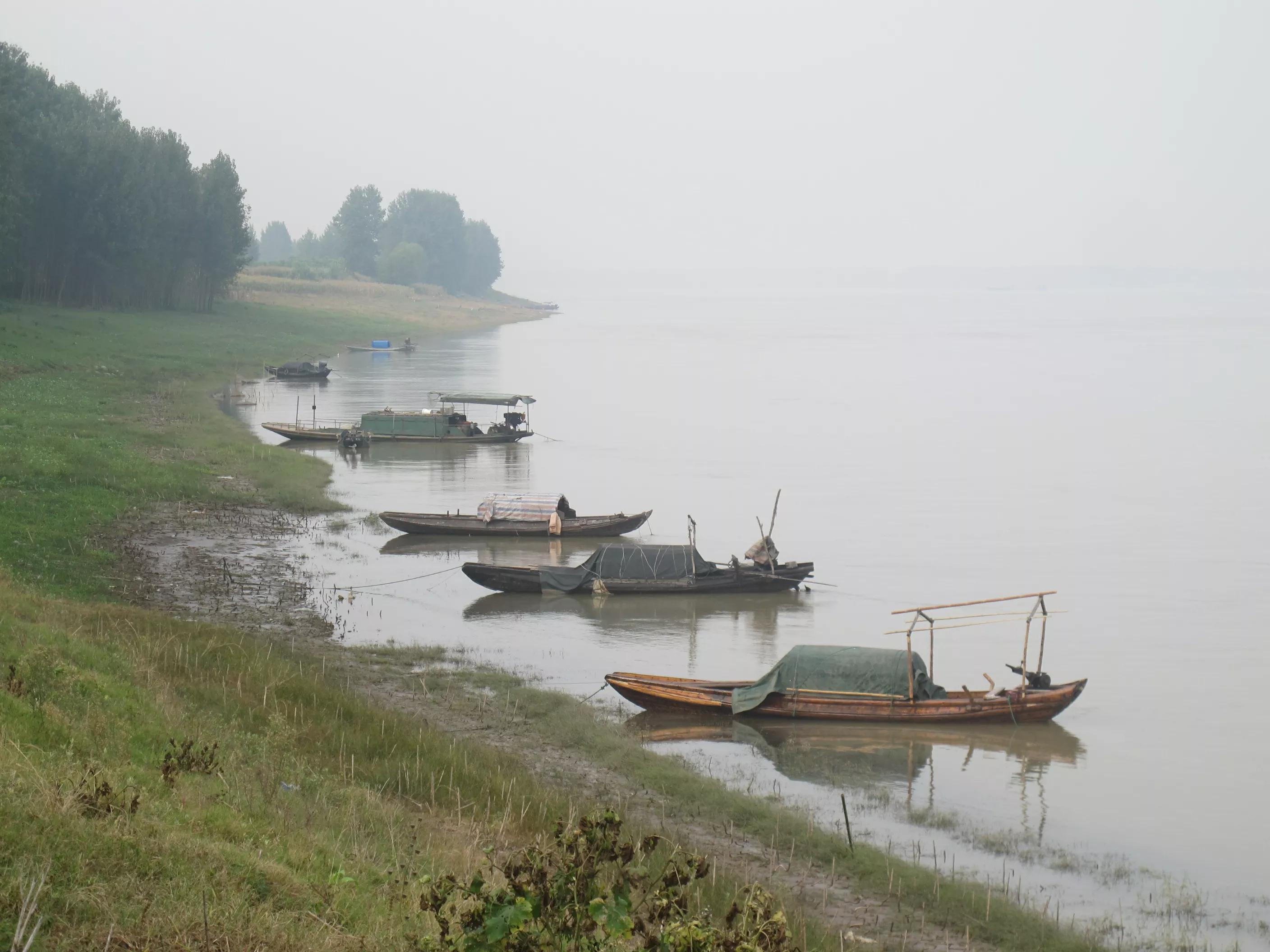 三宁毛国斌:答《南方农业报》记者问