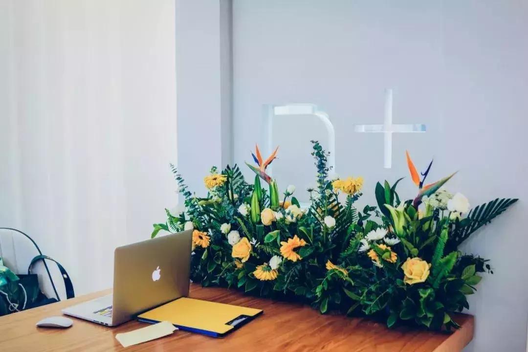 源和1916里的这家网红店，是花店也是甜点店还是图书馆