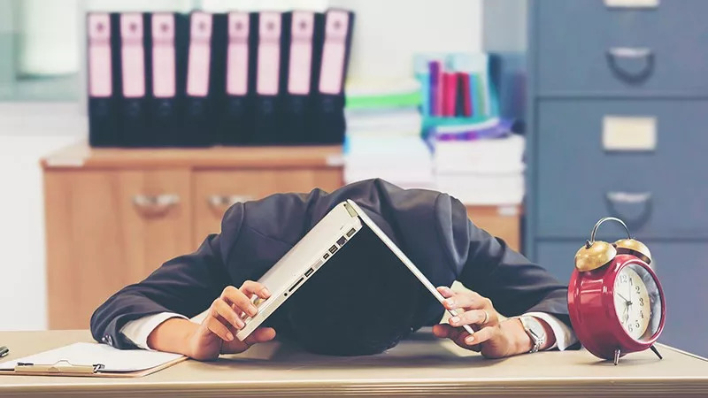 被老板疼爱,被老板宠爱的表现