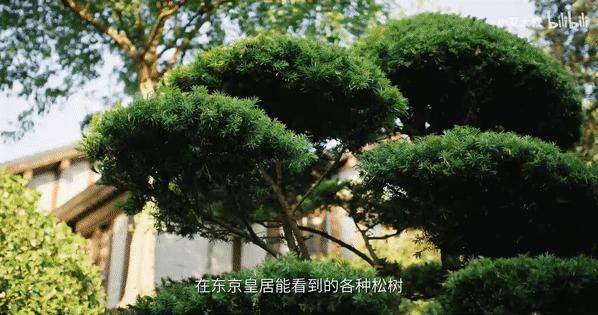 1.68亿豪宅,10亿一套的顶级中式豪宅