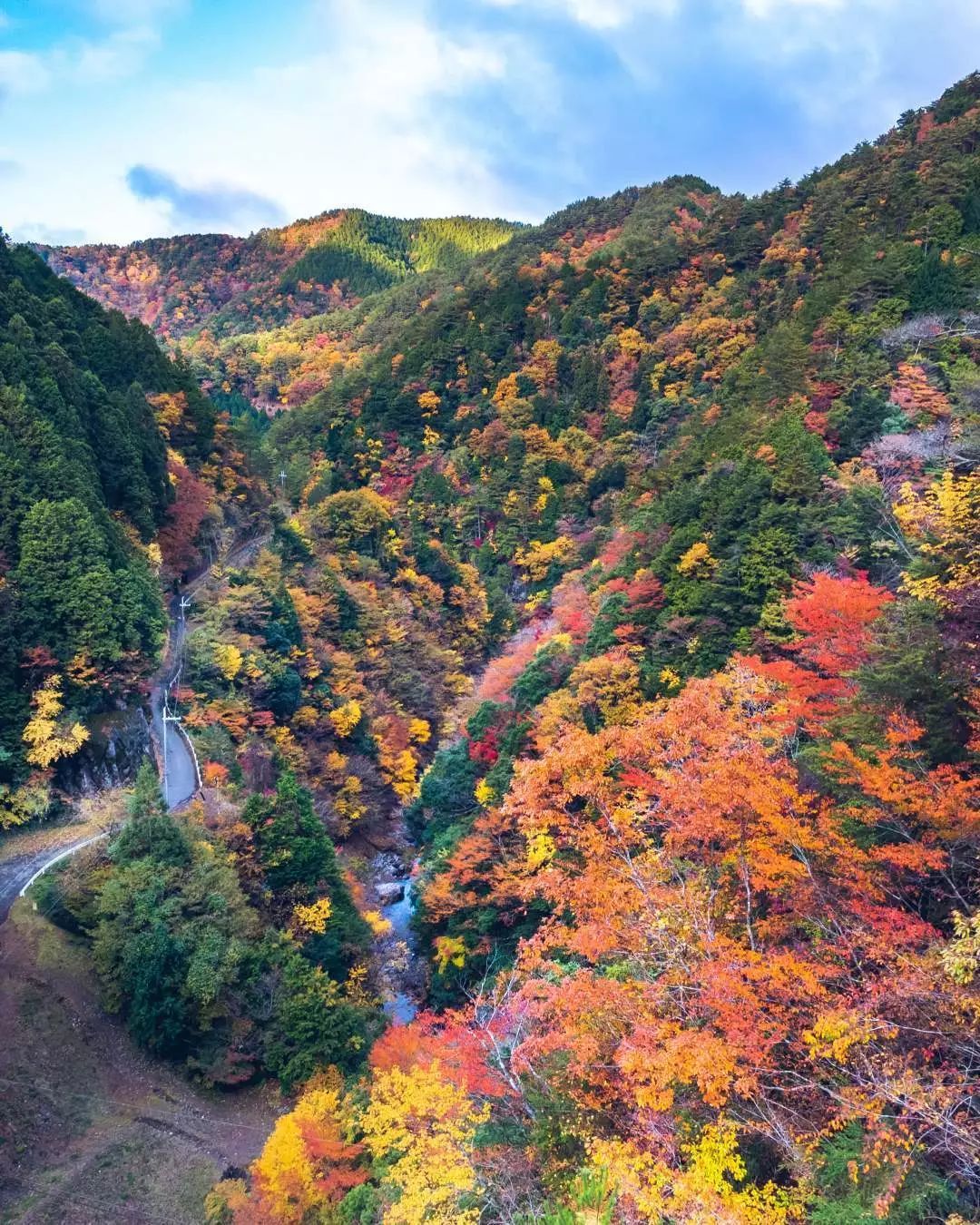 停车坐爱枫林晚风景,停车坐爱枫林晚季节