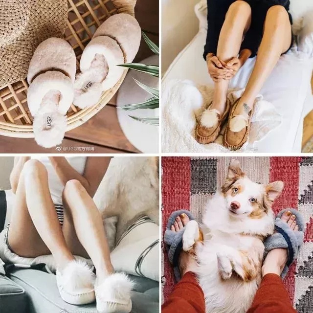 赵丽颖刘亦菲穿白衣,刘亦菲赵丽颖黑色纱裙