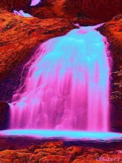 神秘的水中花,趣味神奇的水中花