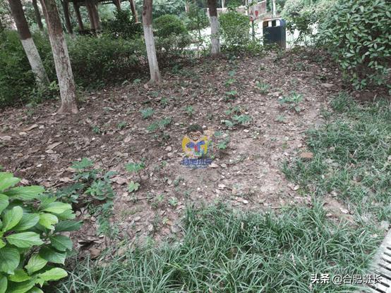 乐富强御龙湾最新价格,乐富强御龙湾景观房