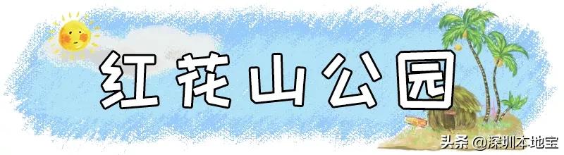 深圳免费的景点有哪些地方,深圳有哪些免费又好玩的地方景点