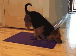 搞笑gif妹子你确定不是来搞笑的,搞笑gif妹子这手速老厉害了