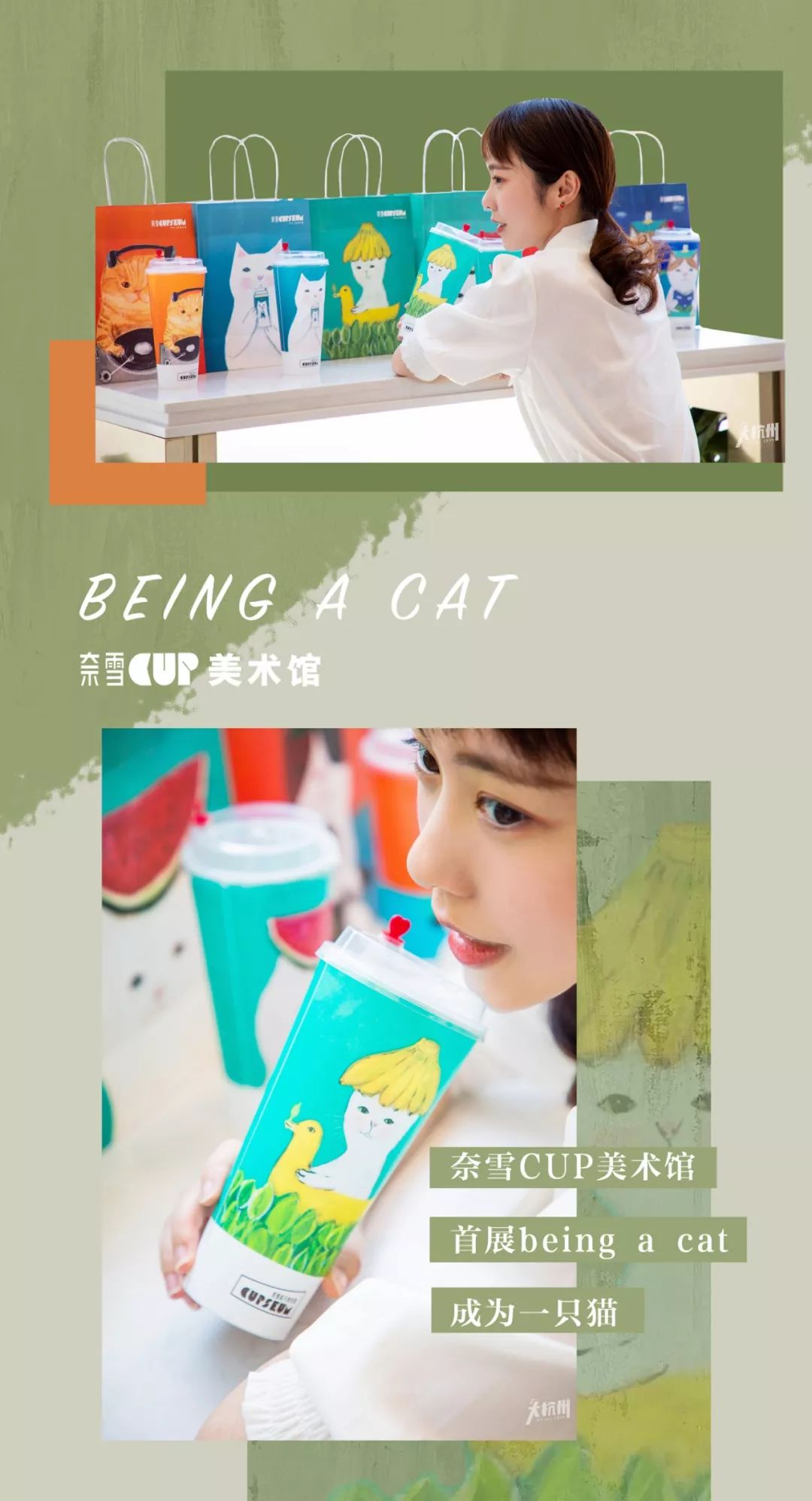 奈雪猫猫杯,奈雪猫杯