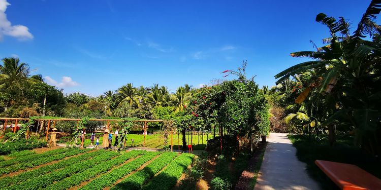 三亚红树林有亲子活动,三亚红树林和海韵