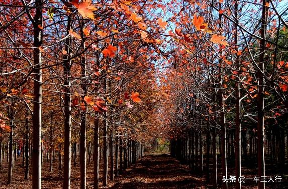 大连有一个蓝色的小城堡景点,大连秋季旅游景点攻略大全
