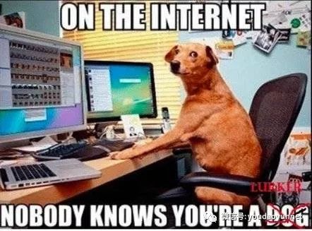 如何做客户背景调查,客户背景调查模板