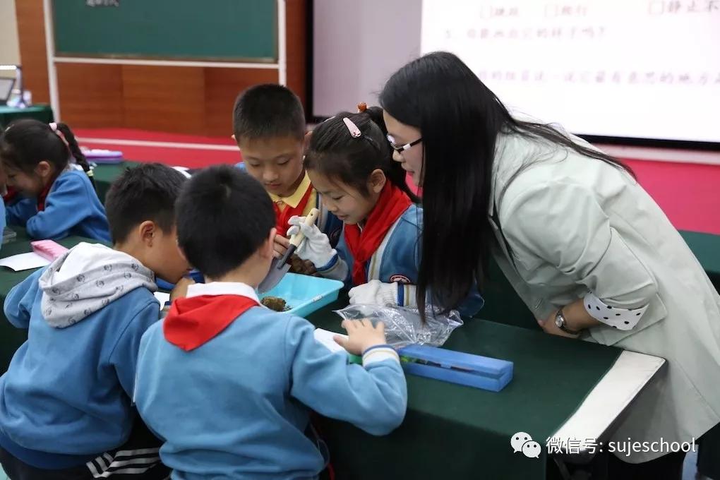 鍗椾含鑻忔澃灏忓鏁欏笀鎷涜仒淇℃伅,鍗椾含鑻忔澃绮惧瘑鎷涜仒