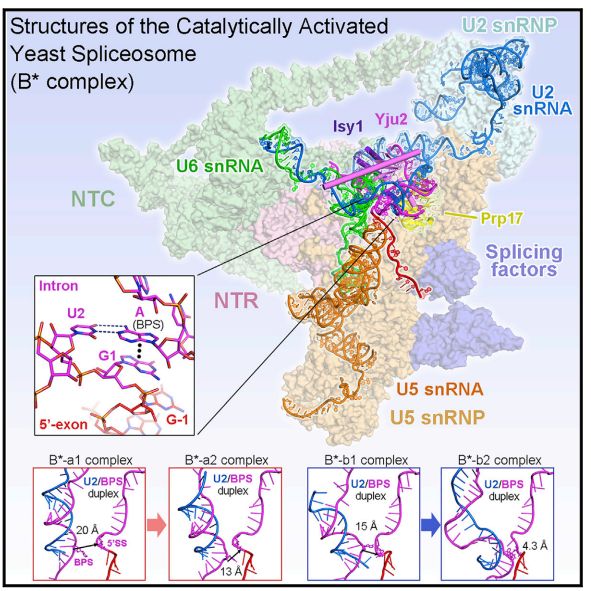 施一公与徒弟颜宁,施一公徒弟颜宁