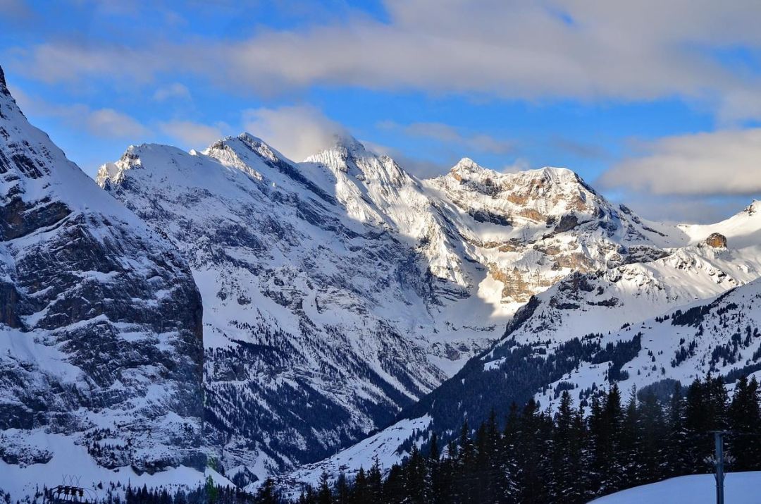 瑞士和瑞典傻傻分不清,分不清瑞典人和爱因斯坦的区别