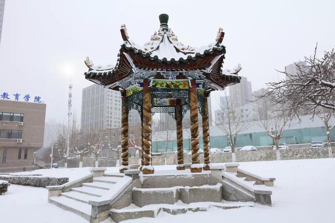 大连海事大学和辽宁省哪个级别高,大连海事大学辽宁省大学排名