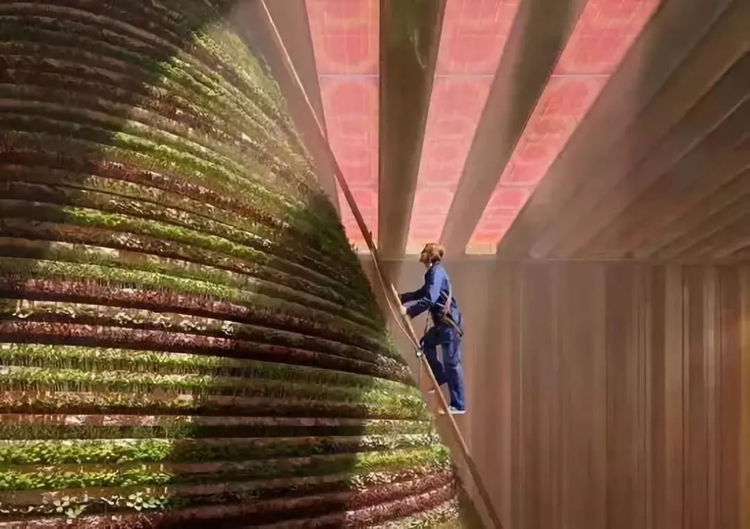 2020迪拜世博会，各国展馆“群魔乱舞”！大型综艺建筑师的夏天？