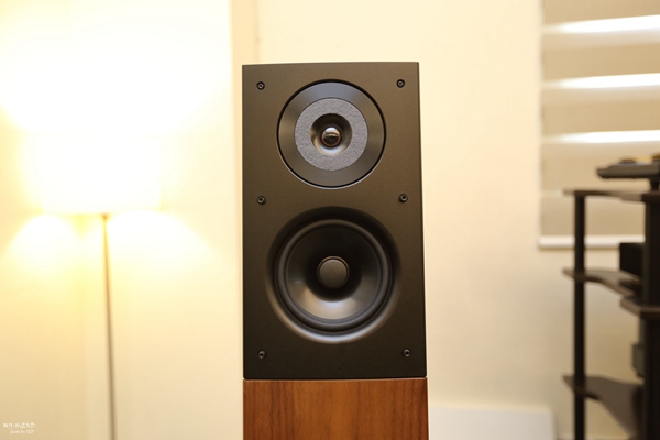 精准再进化,搭配胆机超迷人:德国飞星AudioPhysicVirgoIII