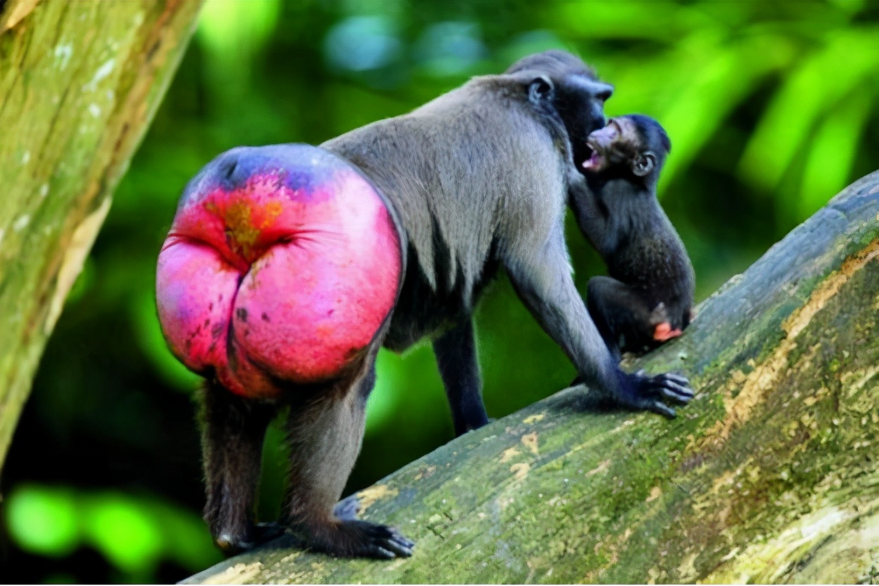 脸上有瑕疵是红血丝吗,怎么判断脸上有红血丝