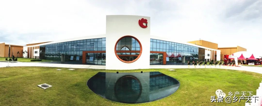 洽洽食品发展的优势与劣势,洽洽食品加工厂