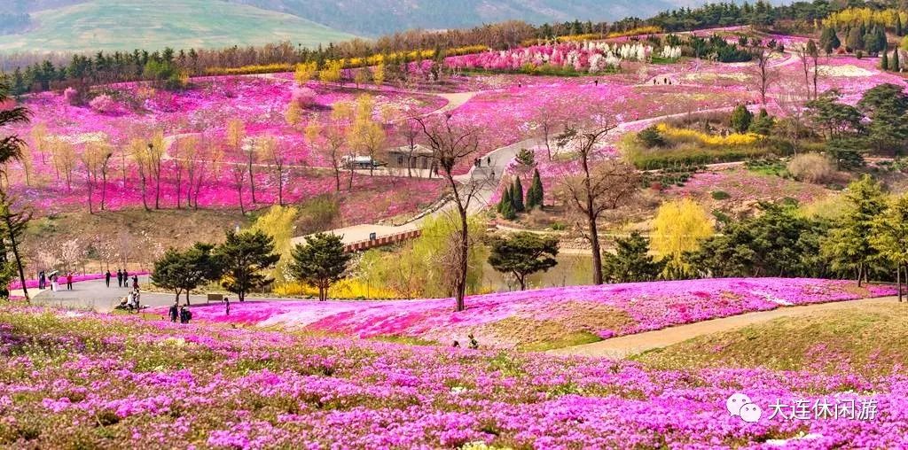 英歌石植物园怎么去,英歌石植物园公交线路