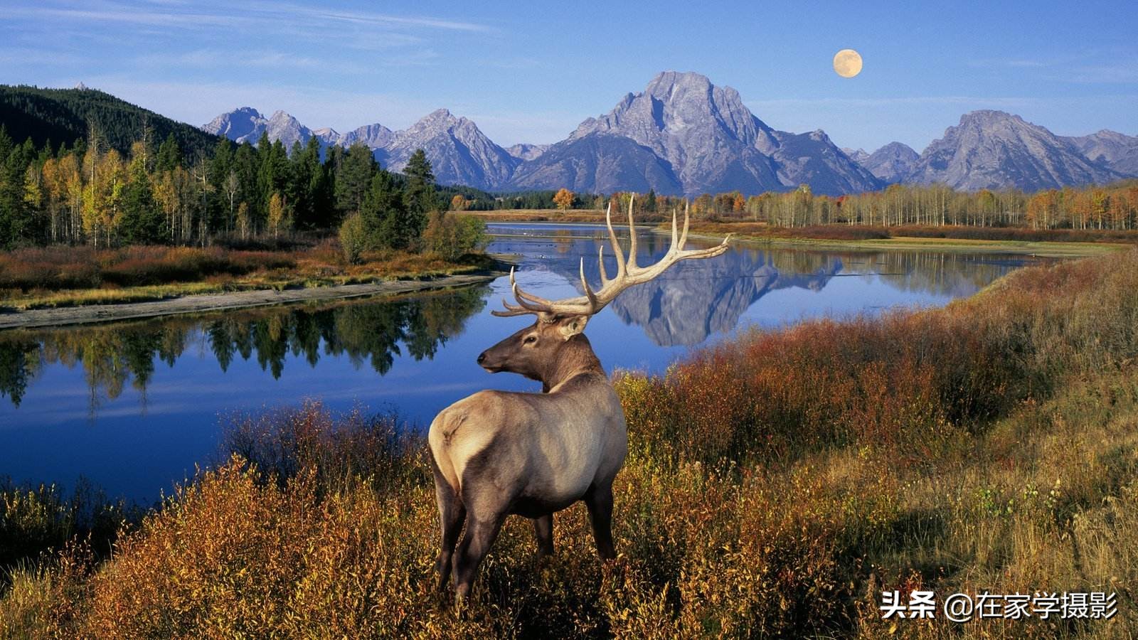 随手抓拍人像风光图片,随手一拍就是风光大片