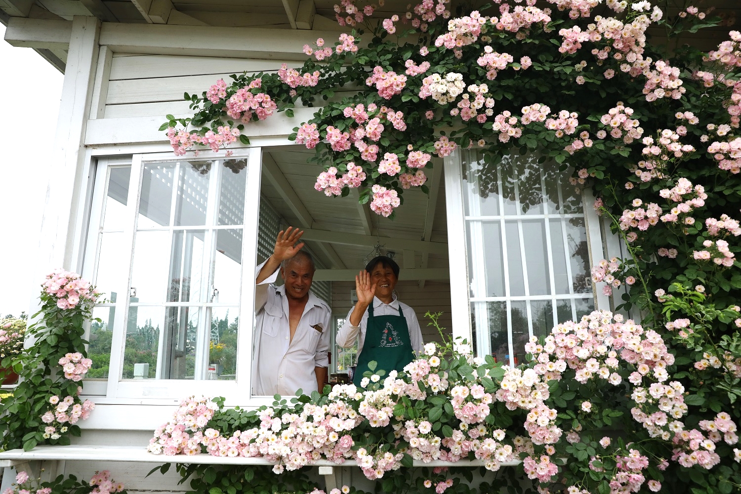 海蒂和噜噜的花园值得推荐吗,海蒂和噜噜的花园打卡