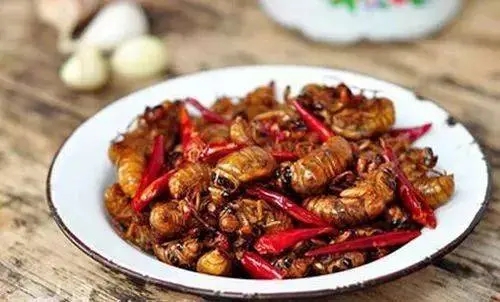 金蝉应该怎么做好吃,金蝉怎么炸又香又脆