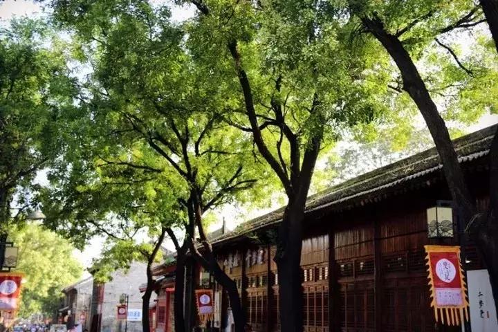 韩城必买十大特产 (韩城旅游攻略特产)