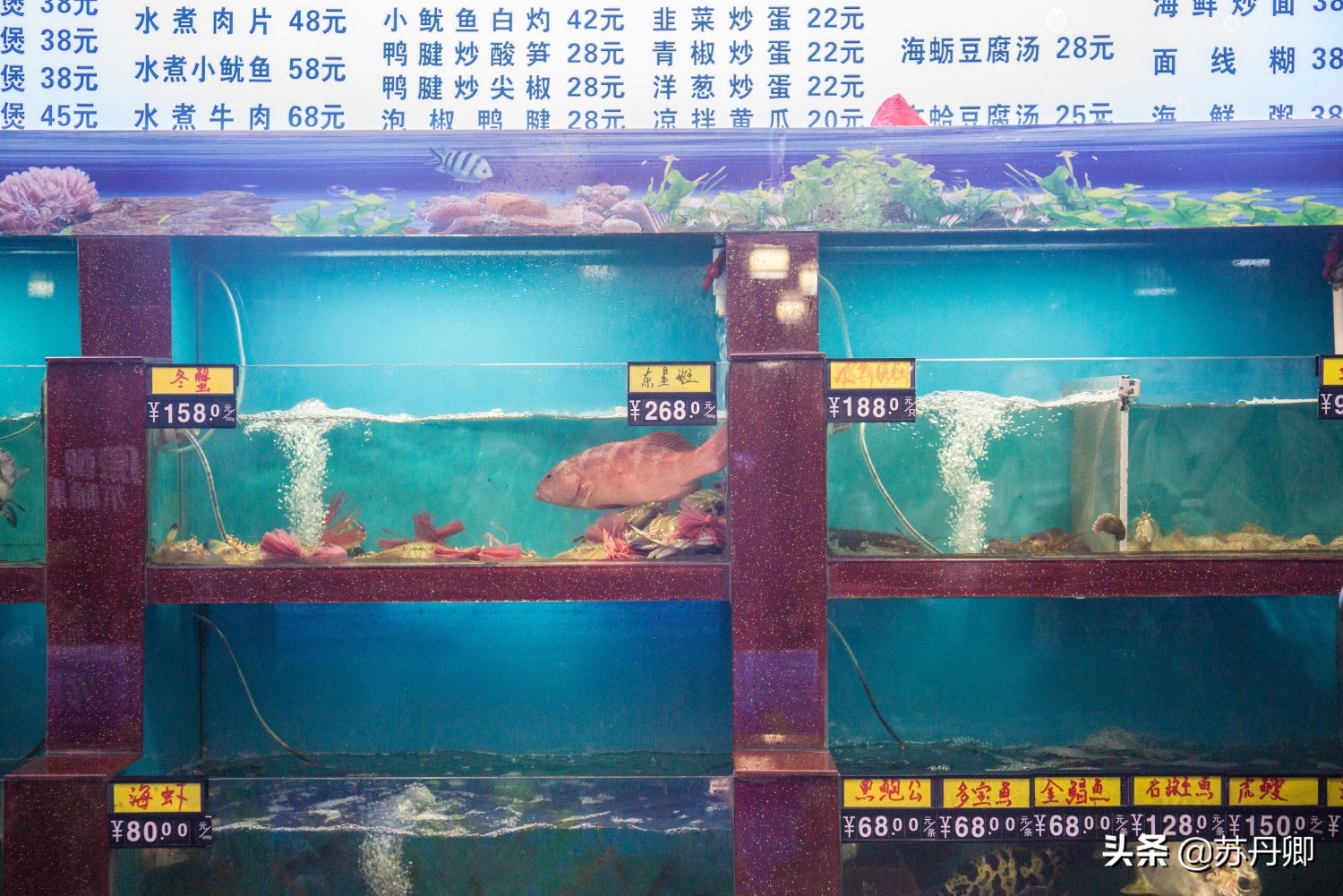 厦门海鲜1000块13道菜,厦门海鲜1599